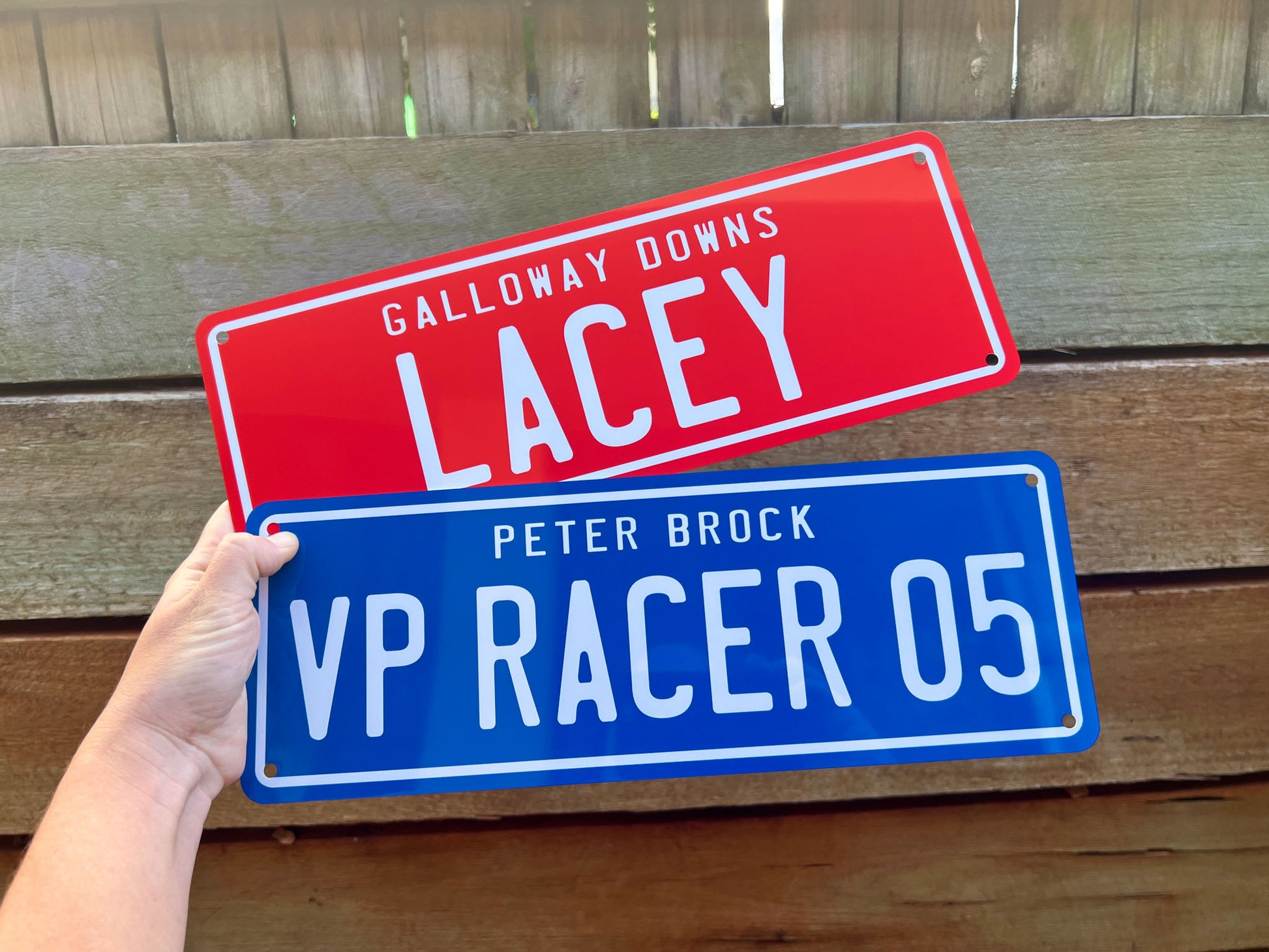 Two license plate-style signs in blue and red held by a hand against a wooden background