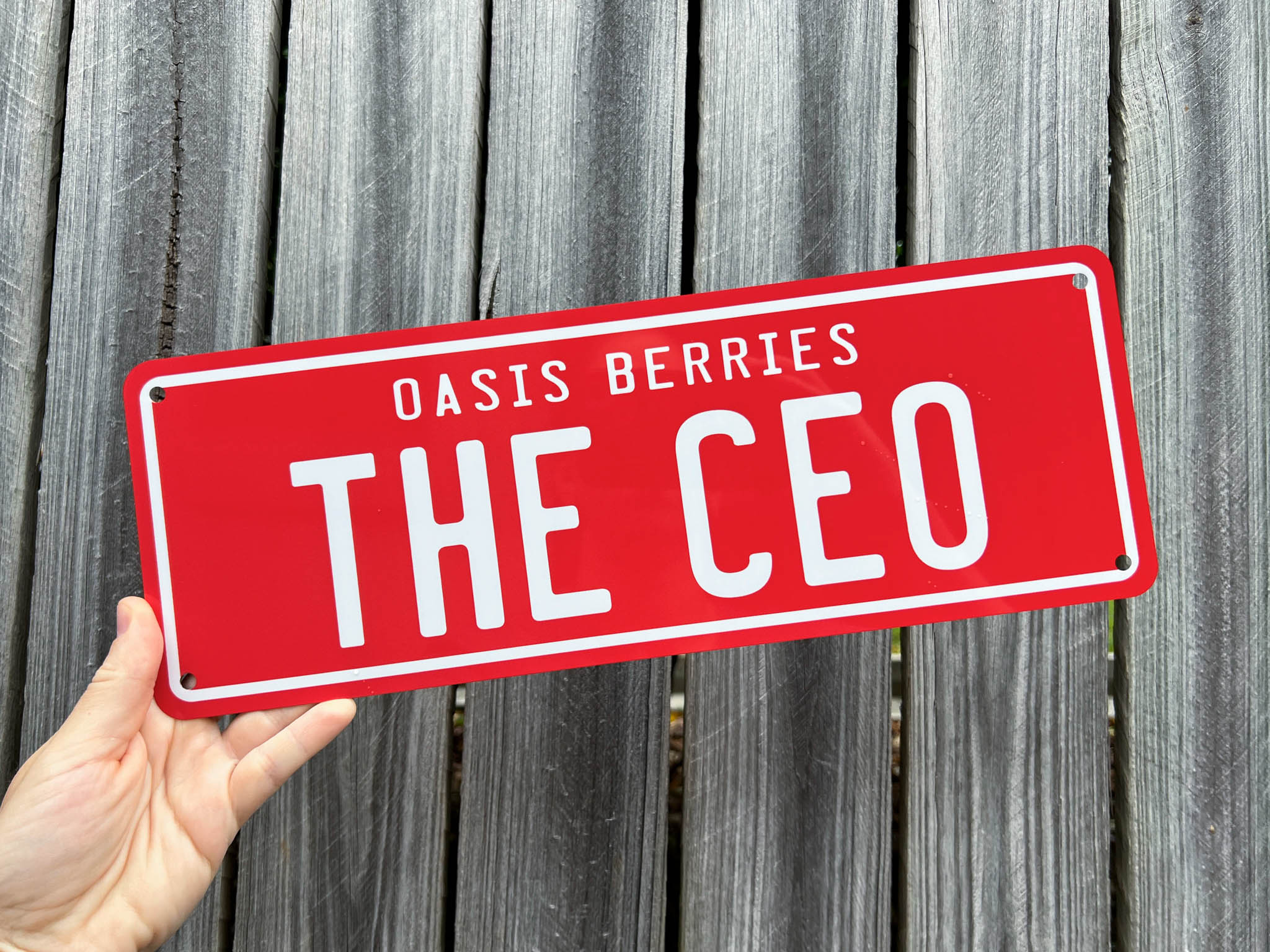 Red sign with 'Oasis Berries THE CEO' text held against a wooden background