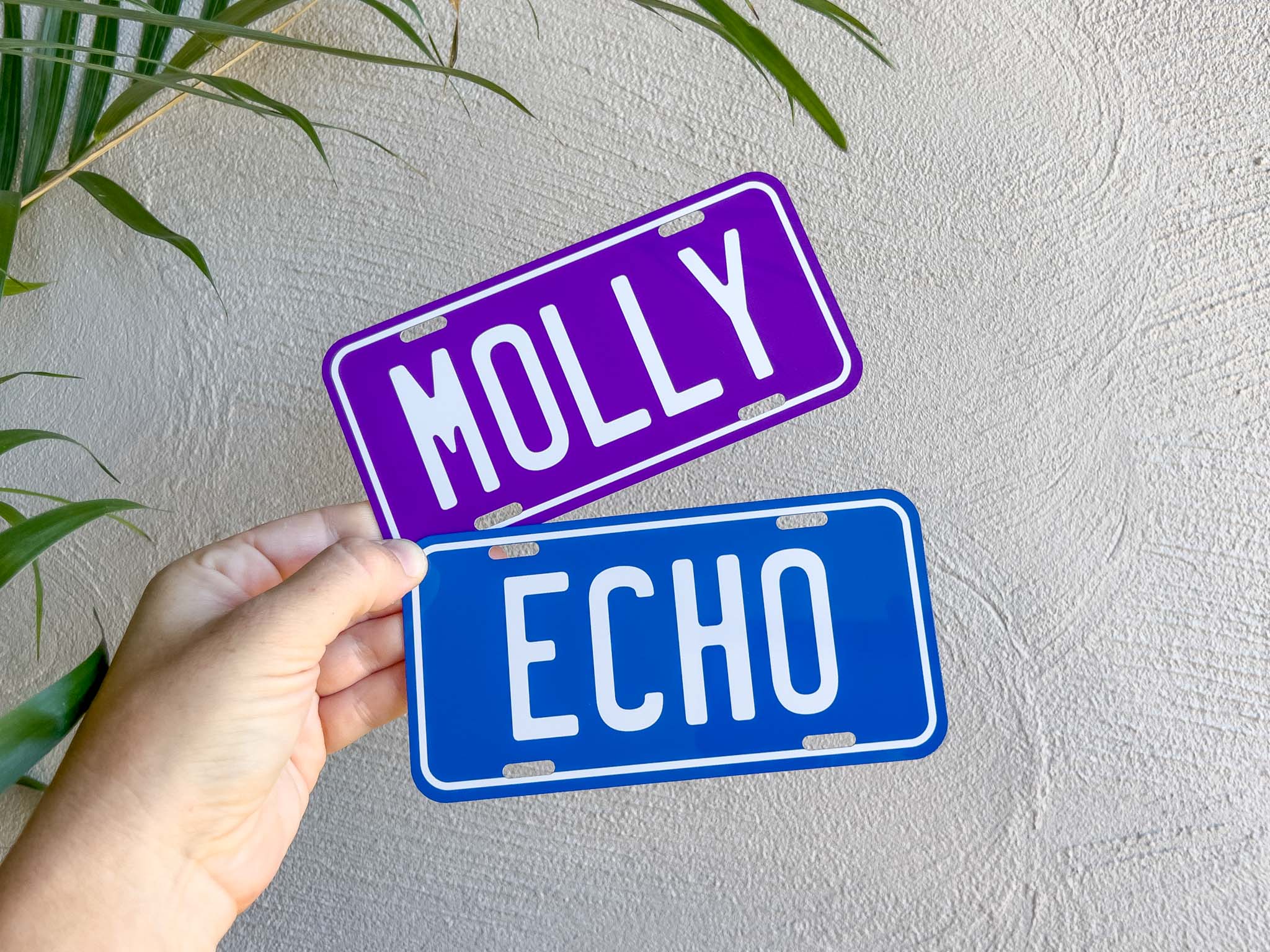 Two license plate-style signs with 'MOLLY' and 'ECHO' text held against a light wall.