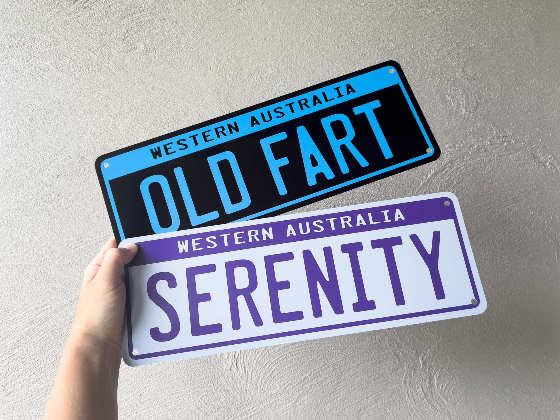 Two novelty plates with text held against a light background