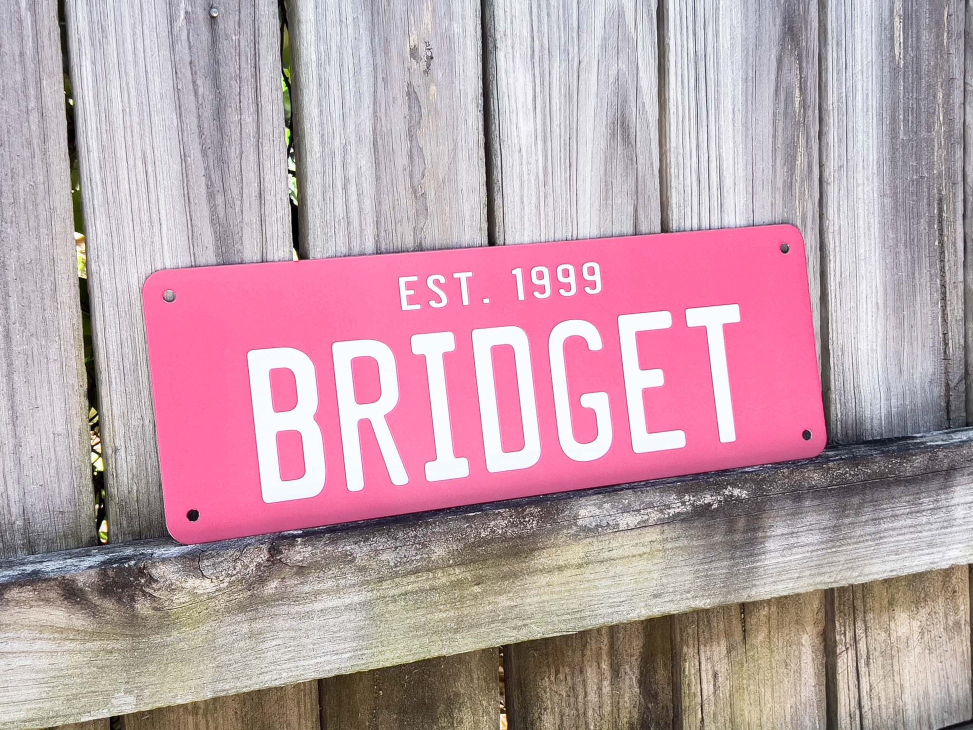 Pink number plate style sign with 'EST. 1999 BRIDGET' text on a wooden background