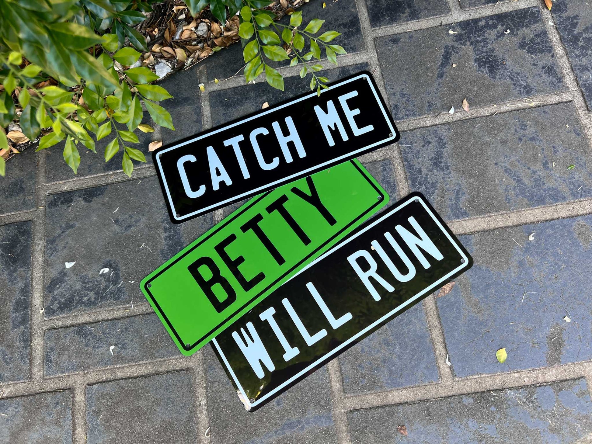 Three number plate style aluminium signs with text 'CATCH ME', 'BETTY', and 'WILL RUN' on a concrete surface.