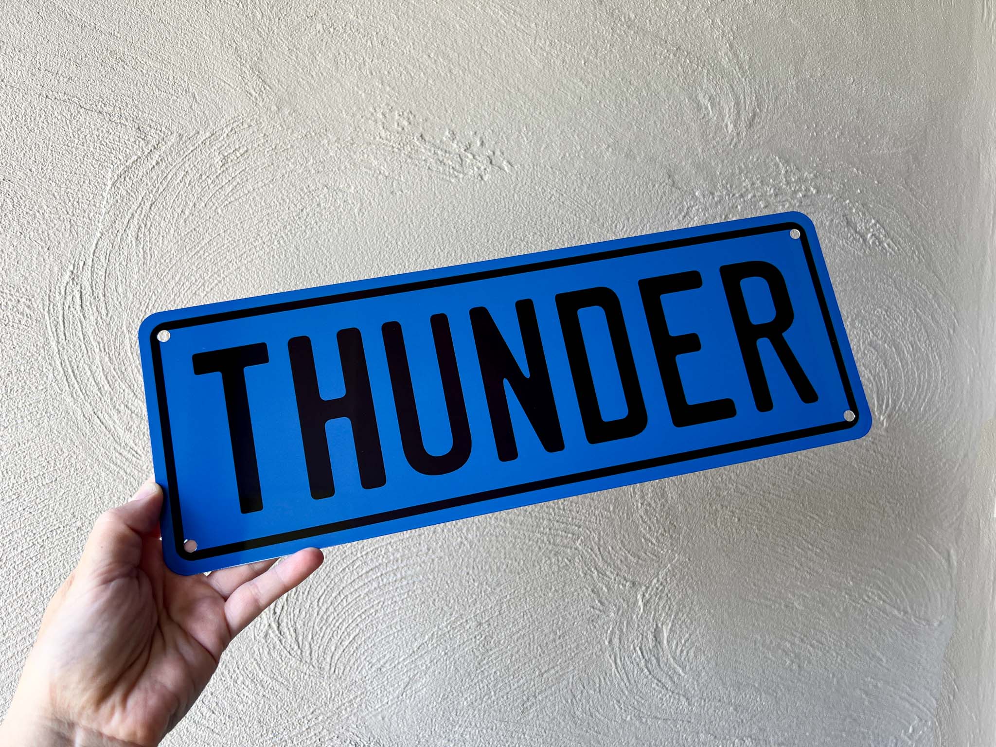 Hand holding a blue rectangular metal sign with 'THUNDER' printed on it against a light grey background