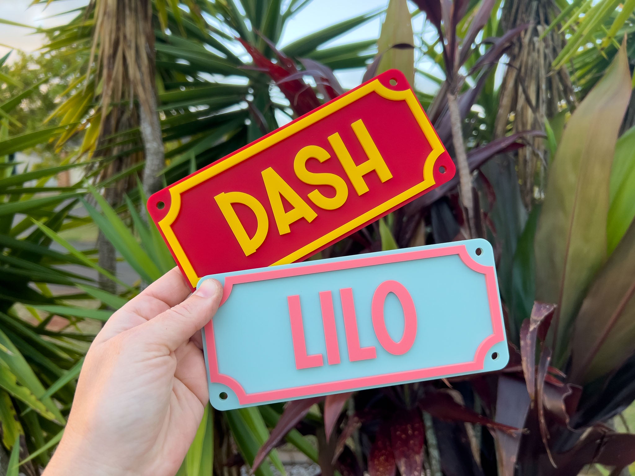 Two nameplates, one red with 'DASH' and one blue with 'LILO', held against a natural background.