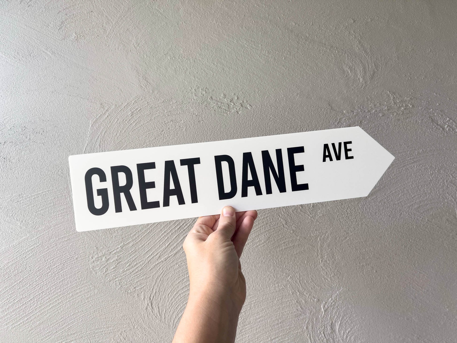 Hand holding a street sign labeled 'Great Dane Ave' against a plain background
