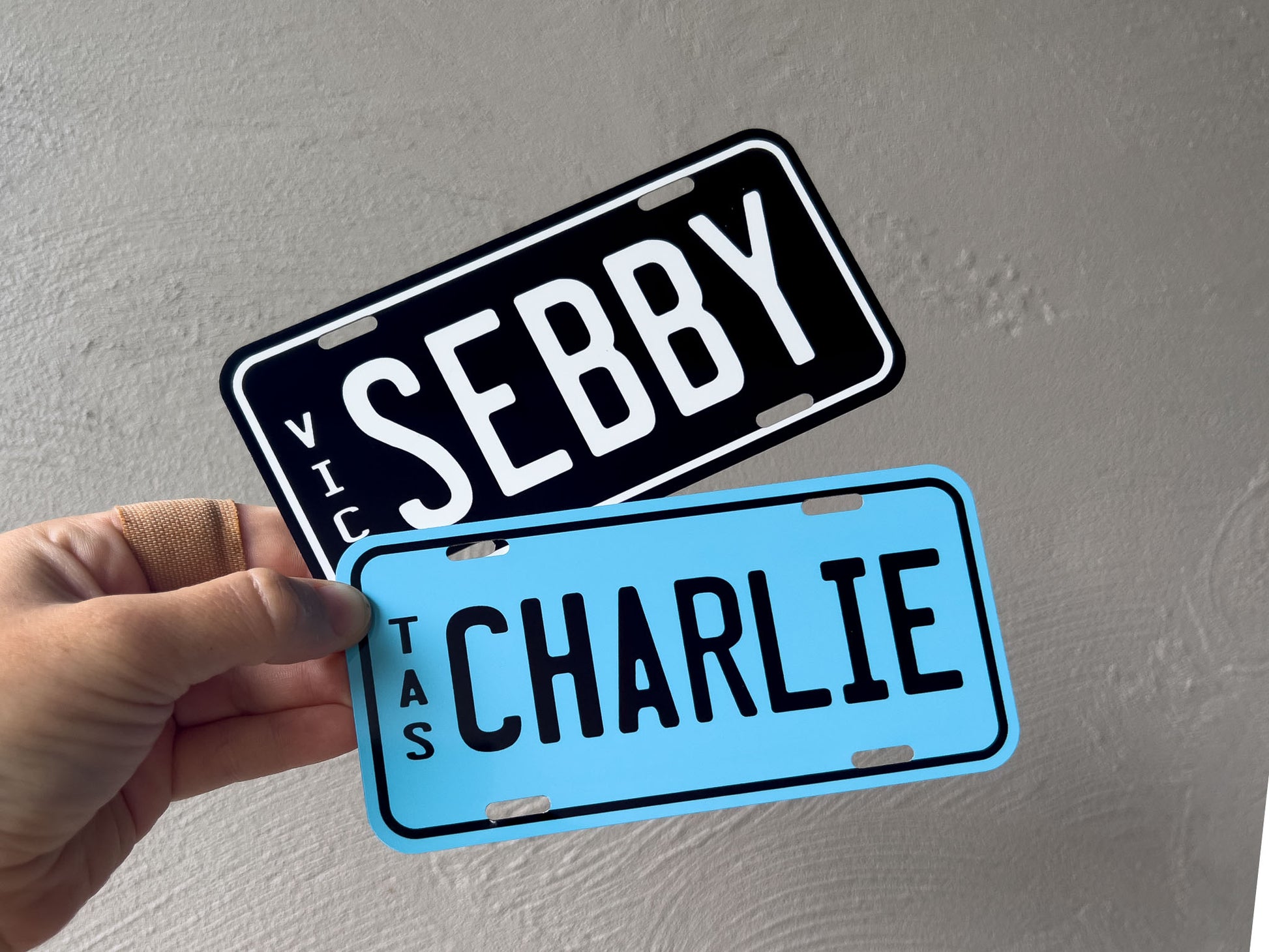 Two mini license plates held by a hand against a gray background that read 'SEBBY' & 'CHARLIE'.