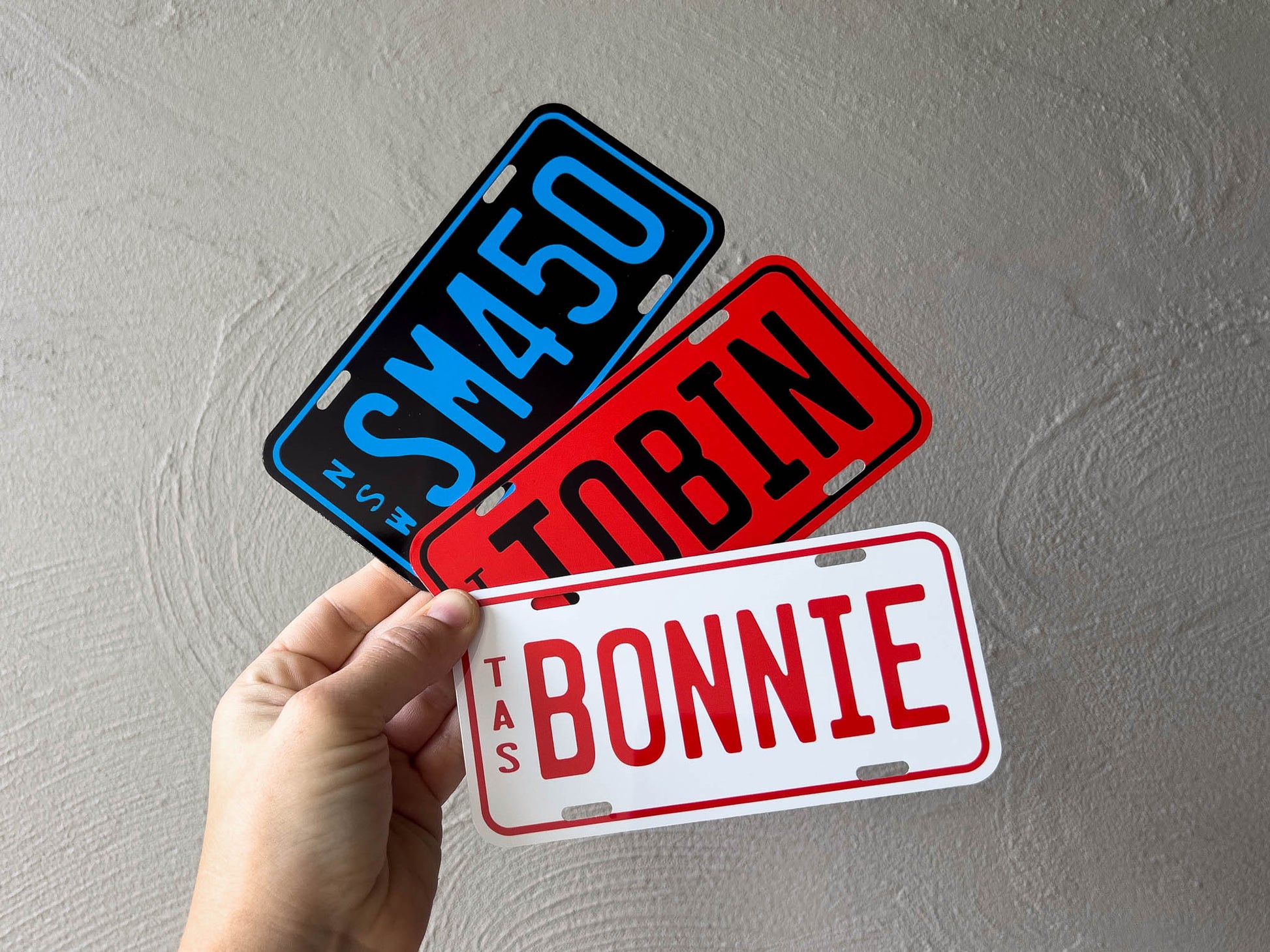 Three novelty license plates labeled 'SM450', 'Tobin', and 'Bonnie' held against a grey background.