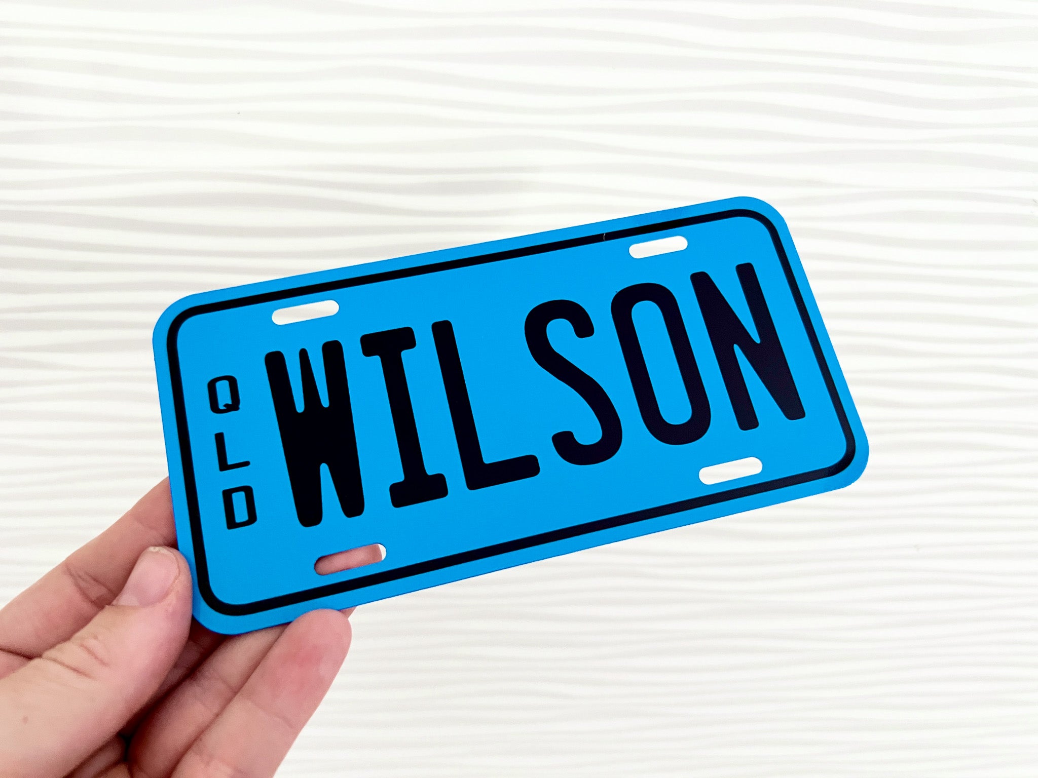 Blue number plate style signs with 'WILSON' text held by a hand against a white background