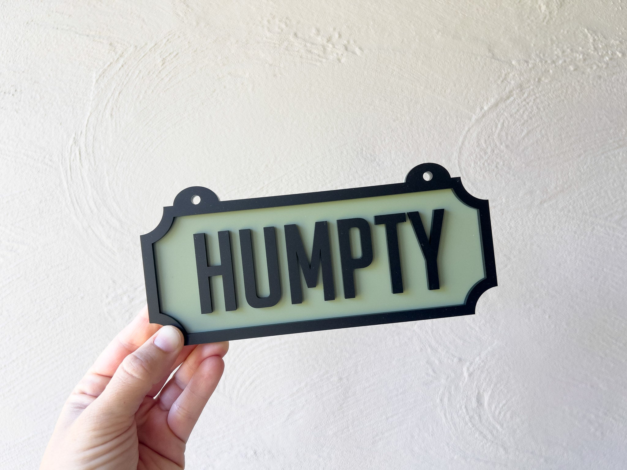 Hand holding a sign with 'HUMPTY' text against a white background | Coji Designs
